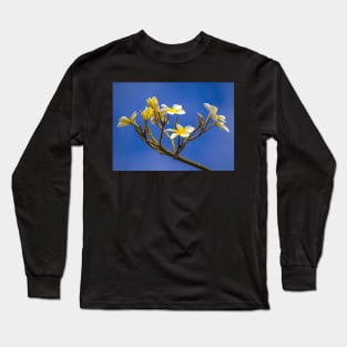 Plumeria Long Sleeve T-Shirt